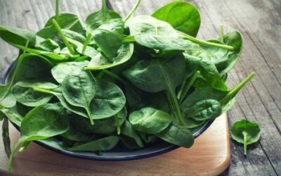 Why ImpruVit Nutritional Supplements Are So Effective